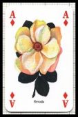 Classic Roses Playing Cards - Non-standard face pack - in the General Section
