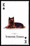 Dogs of the World Playing Cards publ. by U.S. Games Systems Inc. - Cat Ref 12556