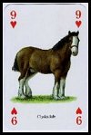 Horses and Ponies of the World Playing Cards publ. by Heritage Toy & Game Co. Ltd.,  1997. - Cat Ref 13067