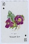 Wildflowers of the World Playing Cards publ. by U.S. Games Systems Inc., 1997. - Cat Ref 13145