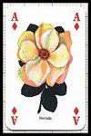 Classic Roses Playing Cards publ. by Heritage Toy & Game Co. Ltd., 1997 - Cat Ref 13197