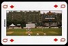 Cricket World Cup Playing Cards: Scotland by Collectable Cards Ltd. - Cat Ref 13282
