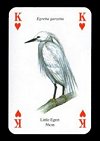 Water Birds Playing Cards publ. by Heritage Playing Card Company, 1999. - Cat Ref 13357