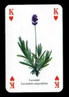 Herbs Playing Cards publ. by Heritage Toy and Game Co. Ltd, 1999 - Cat Ref 13421