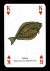 Fish Playing Cards publ. by Heritage Playing Card Company, 1999 - Cat Ref 13422