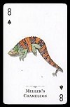 Reptiles & Amphibians of the World Playing Cards publ. by U.S. Games Systems, Inc., 1999. - Cat Ref 13463
