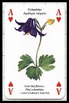 Shakespeare's Flowers Playing Cards publ. by Heritage Playing Card Company. - Cat Ref 13573