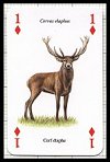 Animaux Sauvages publ. by Heritage Playing Card Company. - Cat Ref 13578