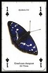 Papillons publ. by Heritage Playing Card Company. - Cat Ref 13579