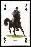 Pferde & Ponys publ. by Heritage Playing Card Company - Cat Ref 13581