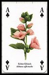 Kruter publ. by Heritage Playing Card Company - Cat Ref 13584