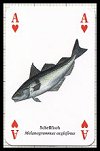 Fische publ. by Heritage Playing Card Company. - Cat Ref 13585