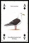 Sea & Coastal Birds Playing Cards publ. by Heritage Playing Card Company, 2001 - Cat Ref 13607