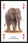 African Animals Playing Cards publ. by Heritage Playing Card Company, 2001 - Cat Ref 13609