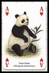 Asian Animals Playing Cards publ. by Heritage Playing Card Company, 2001 - Cat Ref 13610
