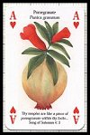 Plants of the Bible Playing Cards publ. by Heritage Playing Card Company, 2001 - Cat Ref 13612