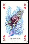 Ocean Life Playing Cards by Heritage - Cat Ref 13754