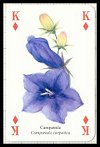 Cottage Garden Playing Cards by Heritage - Cat Ref 13756