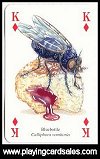 Insects & Spiders Playing Cards by Heritage - Cat Ref 13965