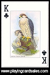 Birds of the World published by Bird Playing Cards, 2007 - Cat Ref 14502