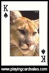 Animals of the Wild published by Bird Playing Cards, 2007 - Cat Ref 14503